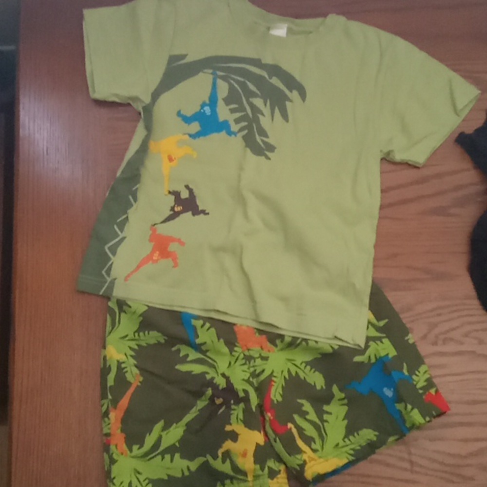 Gymboree swinging monkey swim set